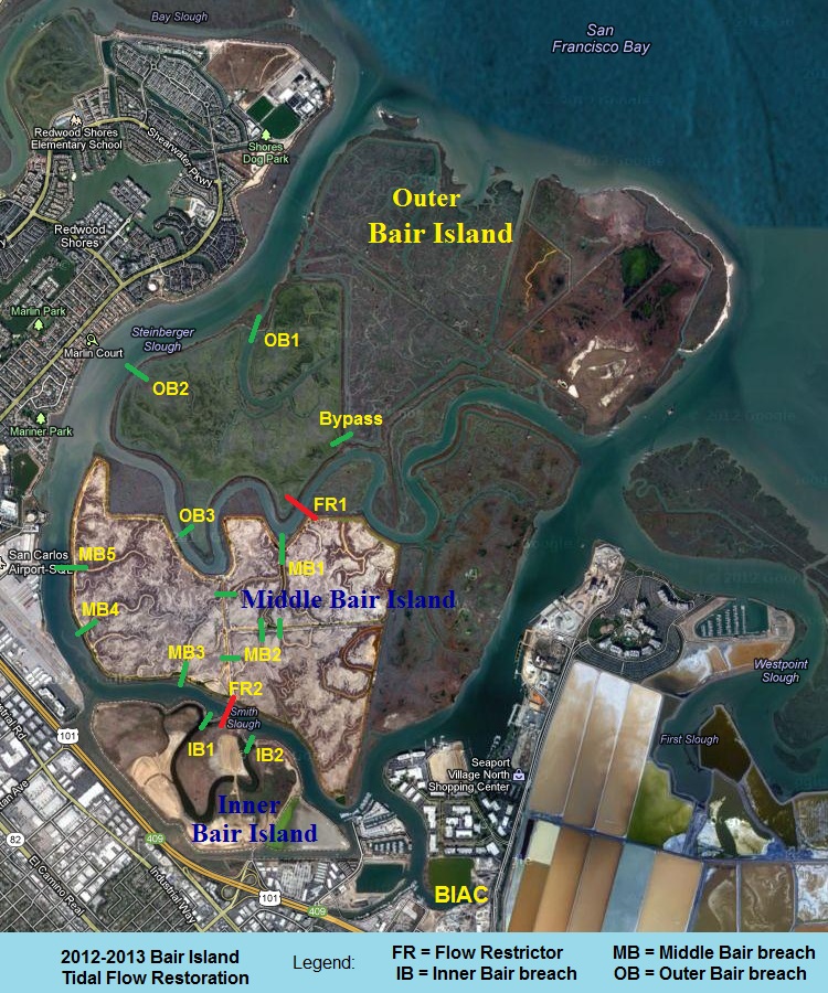Satellite Image of Bair Island